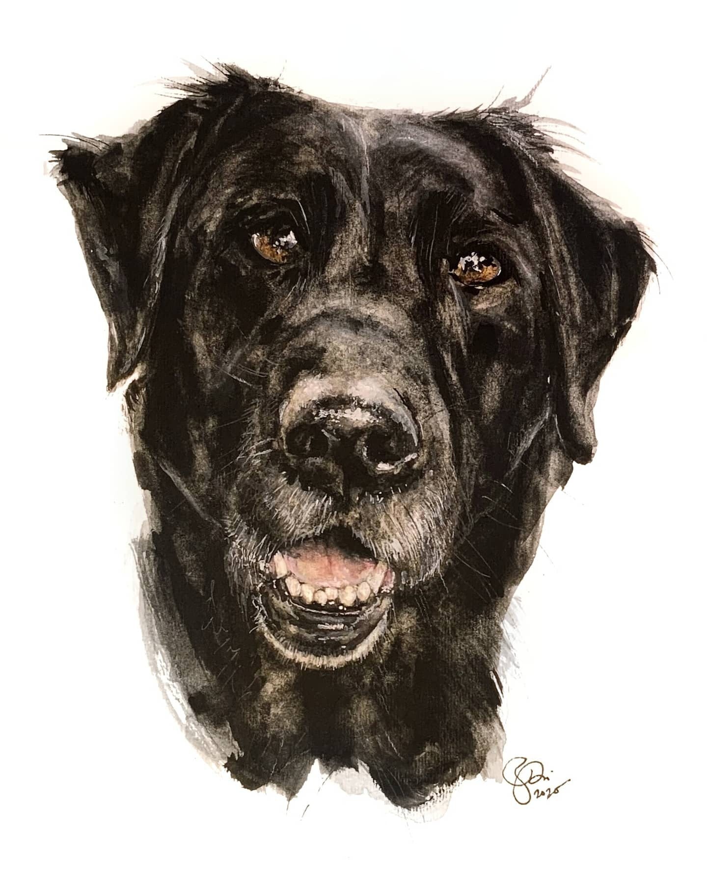 Custom Watercolor Pet Portrait Painting, Made to order, Any Animal